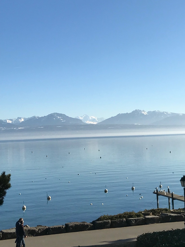 MORGES - Appartement 4.5 pièces pieds dans l'eau 